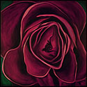 Flower painting from the Jewels of the Land series by Marian Gliese of Studio Gliese